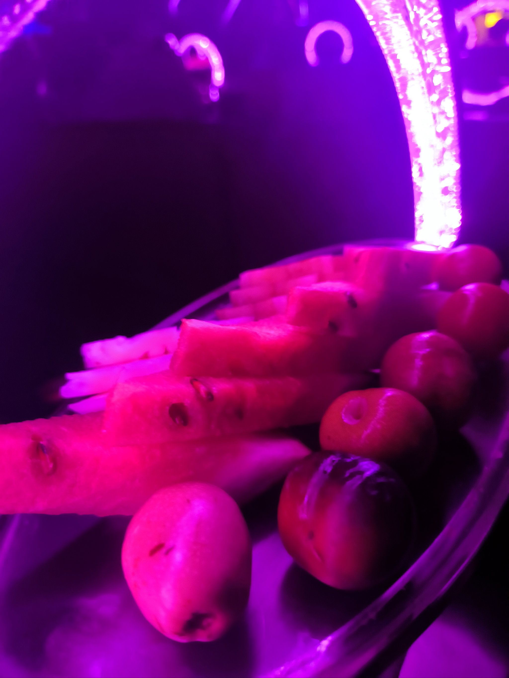 遵义商务KTV，商务尽享快乐-红花岗区ktv预定